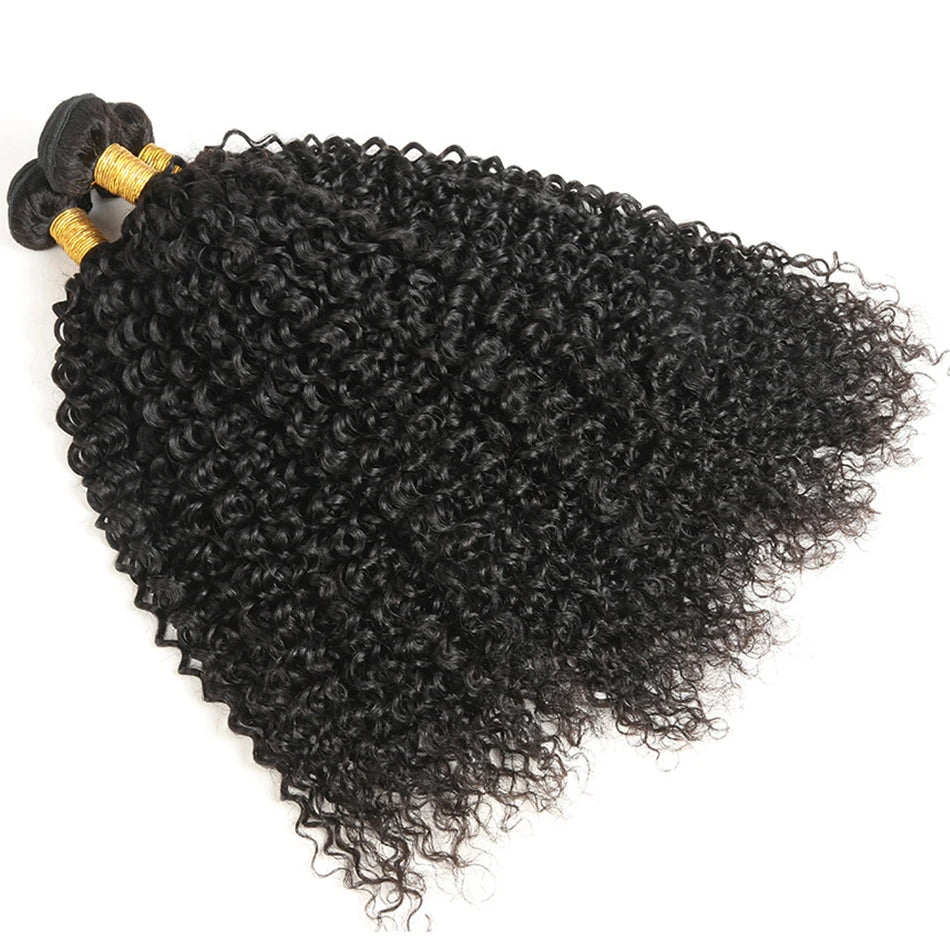 Kinky Curly Human Hair Bundles 100% Human Hair Extensions Brazilian  Raw Hair Weave