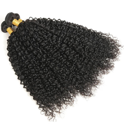 Kinky Curly Human Hair Bundles 100% Human Hair Extensions Brazilian  Raw Hair Weave