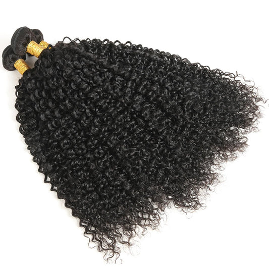 Kinky Curly Human Hair Bundles 100% Human Hair Extensions Brazilian  Raw Hair Weave