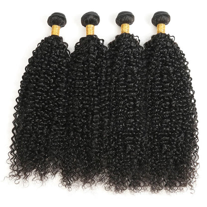 Kinky Curly Human Hair Bundles 100% Human Hair Extensions Brazilian  Raw Hair Weave